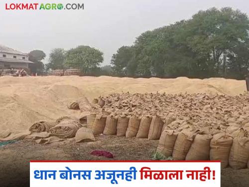Latest News Dhan Bonus Farmers waiting for paddy bonus for six months see details | हिवाळी अधिवेशनातील निर्णयाची अजूनही अंमलबजावणी नाही, धान बोनसचं काय झालं? 
