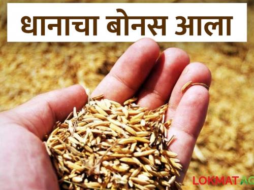 Latest News Dhan bonus Farmers in Gadchiroli district get paddy bonus see details | Dhan Bonus : 'या' जिल्ह्यातील शेतकऱ्यांचा धान बोनस आला, प्रतिहेक्टरी इतके रुपये मिळणार? 