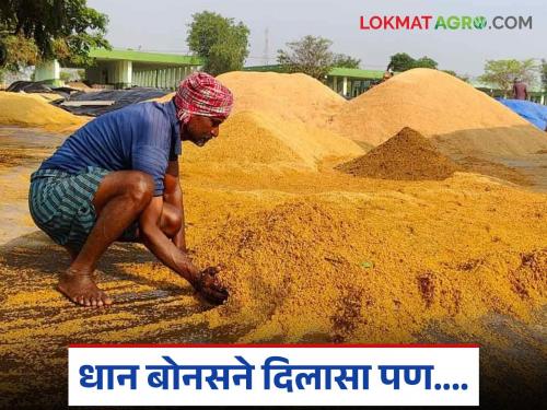 Latest news Dhan Bonus paddy bonus came after six months, farmer waiting for chukare | Dhan Bonus : सहा महिन्यांनी धान बोनस आला, आता चुकारे कधीपर्यंत मिळणार? 