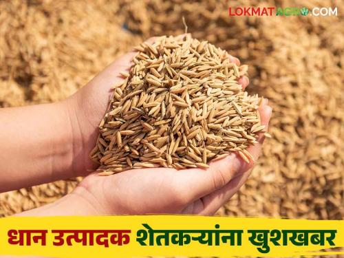 Rice Export : Good prices for paddy at the beginning of the season as the central government lifted the export ban | Rice Export : केंद्र सरकारने निर्यातबंदी हटविल्यामुळे हंगामाच्या सुरुवातीलाच धानाला चांगला दर