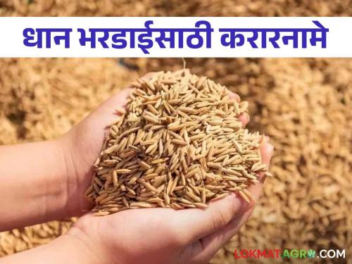 Latest News Start of paddy bhardai which was stopped for seven months, contracts with rice millers | Paddy Production : तब्बल सात महिने थांबलेल्या धान भरडाईला सुरवात, राईस मिलर्ससोबत करारनामे