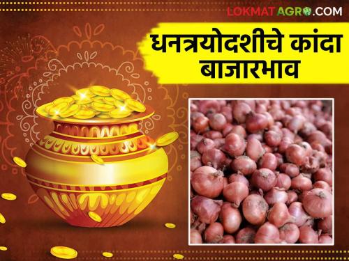 Latest News Kanda Bajarbhav onions market price on Dhanteras diwali in kalwan market Read in detail  | Kanda Bajarbhav : धनत्रयोदशीला कळवण बाजारात कांद्याला काय भाव मिळाला? वाचा सविस्तर 