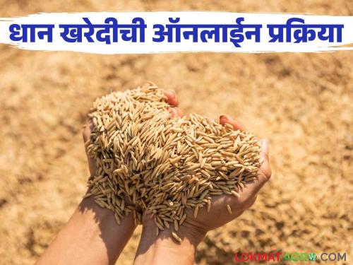 Latest News Agriculture News entire process of buying paddy will be done online, the deadline is 15 November  | Agriculture News : यंदा धान खरेदीची संपूर्ण प्रक्रिया होणार ऑनलाईन, १५ नोव्हेंबरपर्यंत मुदत 