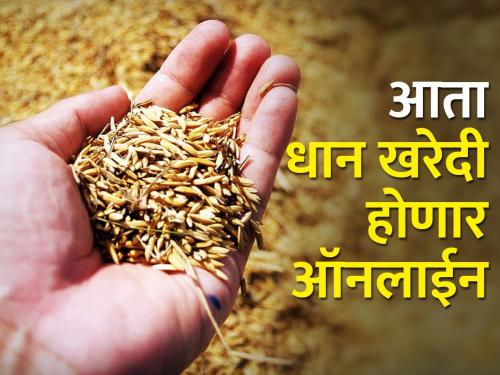 Tribal paddy will be purchased online; The money will be deposited directly into the bank account | आदिवासींची धान खरेदी होणार ऑनलाईन; पैसे जमा होणार थेट बँक खात्यात