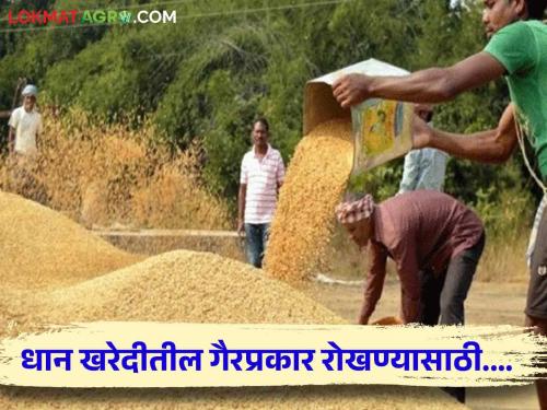 Latest News Agriculture News Irregularities in paddy procurement, counseling campaign by Tribal Development Board  | Agriculture News : धान खरेदीत गैरप्रकार, आदिवासी विकास मंडळाकडून समुपदेशन मोहीम 