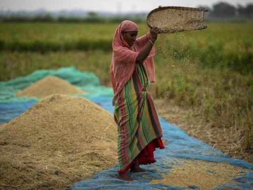 Latest News purchase limit of paddy per hectare reduced by seven quintals, know in detail  | Paddy Buying : यंदा धान खरेदीची मर्यादा सात क्विंटलने घटली, जाणून घ्या सविस्तर 