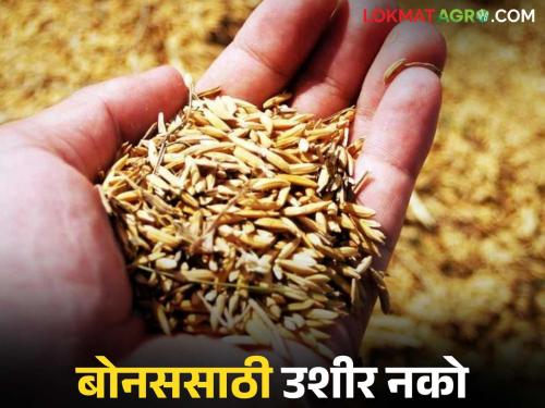Latest News Even after six months, farmers have not received the paddy bonus amount, read in detail | Dhan Bonus : सहा महिने उलटूनही धान बोनसची रक्कम शेतकऱ्यांना मिळाली नाही, वाचा सविस्तर 