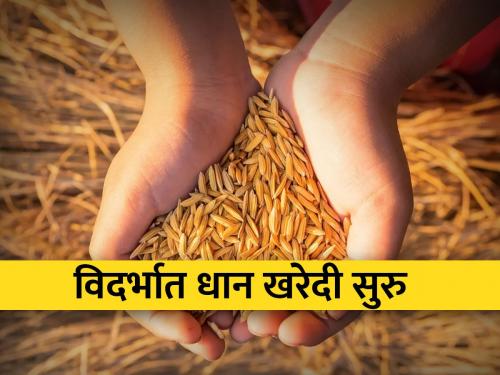 222 paddy purchase centers open in Vidarbha | विदर्भात २२२ धान खरेदी केंद्रे सुरू