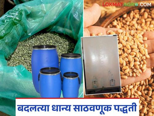 These cheap and easy alternatives are now being used instead of metal drum for food grain storage | धान्य साठवणुकीसाठी आता पत्र्याच्या कणगीऐवजी वापरा हे स्वस्त अन् सोपे पर्याय