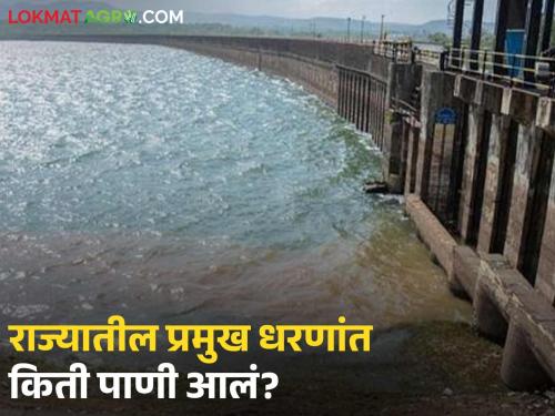 latest News 'These' dams in maharashtra have crossed percent storage, see dam water storage in your district | राज्यातील 'या' धरणांनी पंन्नाशी ओलांडली, पहा तुमच्या जिल्ह्यातील धरण पाणीसाठा