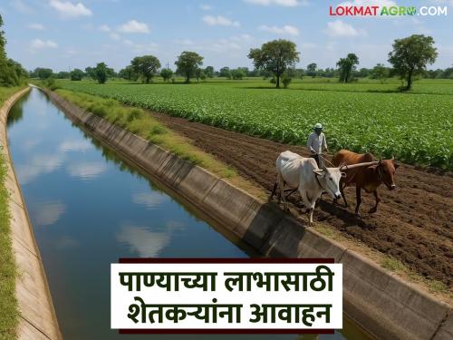 latest News Appeal to apply for water usage in dam canals by July 28, read in detail | धरण कालव्यांतील पाणी वापरासाठी 28 जुलैपर्यंत अर्ज करण्याचे आवाहन, वाचा सविस्तर 