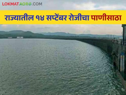 Latest News Jayakwadi at 99 percent, how much water in gangapur, bhandardara, ujani dam Read in detail  | Maharashtra Dam Storage : जायकवाडी 99 टक्क्यांवर, राज्यातील मोठ्या धरणांमध्ये किती पाणी? वाचा सविस्तर 