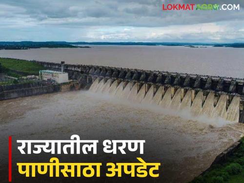 Latest News Dam Storage three dams in ahilyanagar district 100 percent full, read district-wise dam water storage | राज्यातील 'ही' तीन धरण 100 टक्के भरली, वाचा जिल्हा निहाय धरण पाणीसाठा