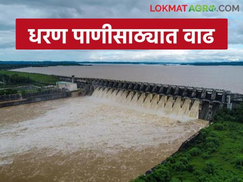 Maharashtra Dam Storage: Increase in water storage due to continuous rains; How much water in which dam read in detail | Maharashtra Dam Storage : सततच्या पावसाने जलसाठ्यात वाढ; कोणत्या धरणात किती पाणी वाचा सविस्तर