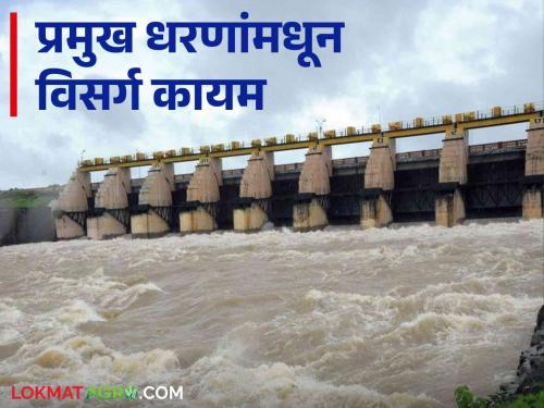 Latest News Maharashtra Dam Discharged Gosekhurd, Koyna, Hatnur dams continue to discharge read in details | Maharashtra Dam Discharged : गोसेखुर्द, कोयना, हतनूर धरणांतून विसर्ग कायम, कोणत्या धरणातून किती विसर्ग? 