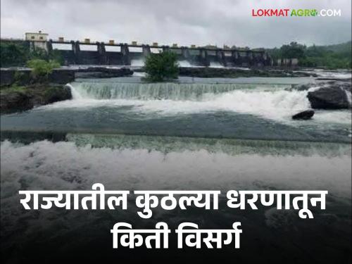 Latest News Todays Maharashtra dam water discharged report hatnur, gosekhurd dam details | Maharashtra Dam Water Discharged : राज्यात 'ही' धरणे झाली फुल्ल, कुठल्या धरणातून किती विसर्ग? वाचा सविस्तर 