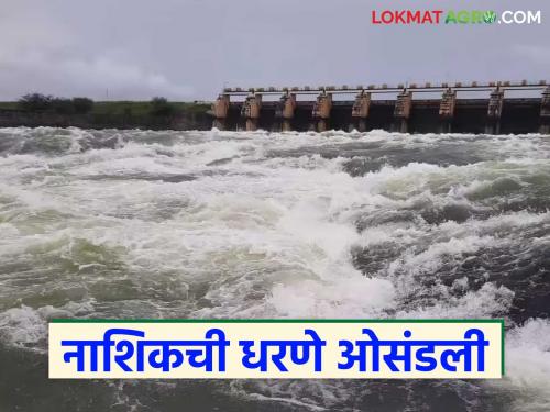 latest news Nashik Dam Water: Nashik's dams overflowed; How many TMC of water came for Marathwada? Read in detail | Nashik Dam Water : नाशिकची धरणे ओसंडले; मराठवाड्यासाठी किती टीएमसी आले पाणी वाचा सविस्तर