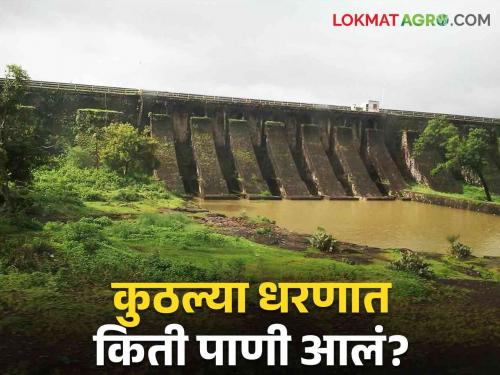 Latest News How much water storage in Ujani, Koyna, Jayakwadi, Gangapur dams in maharashtra | Maharashtra Rain Update : कुठे मुसळधार, कुठे पावसाची ओढ, आज धरणांत किती पाणी आले? 