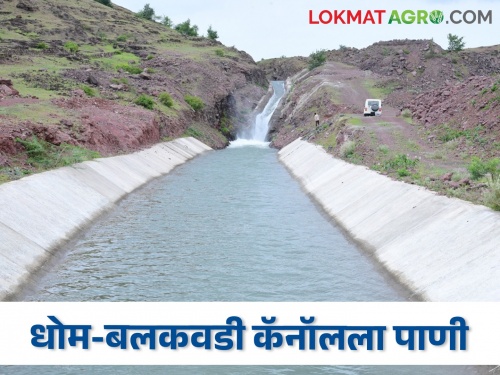 Dhom-Balakwadi canal released water; farmers being happy | धोम-बलकवडी कालव्याला सुटलं पाणी; शेतकरी आनंदी