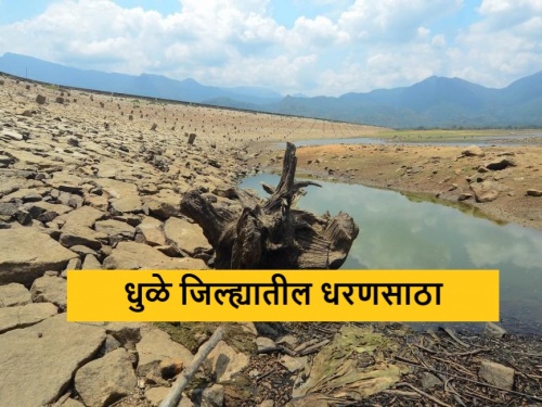 Latest News water scarcity Only 25 percent water storage in dams in Dhule district | धुळे जिल्ह्यातील धरणांत केवळ 25 टक्के जलसाठा, कुठल्या धरणात किती पाणी शिल्लक 