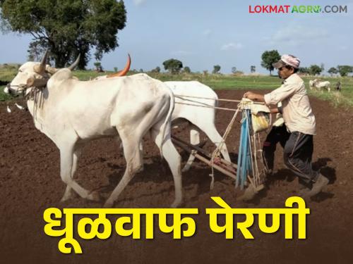 started rohini nakshatra starting crop sowing | Kharif Sowing लागली चाहूल रोहिणीची.. शेतशिवारात धांदल पेरणीची