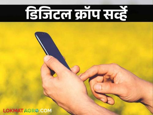 Digital crop survey in one taluka in each district in the state other talukas e pik pahani as like before | राज्यात प्रत्येक जिल्ह्यात एका तालुक्यात डिजिटल क्रॉप सर्व्हे बाकी ठिकाणी पूर्वीप्रमाणेच ई-पीक पाहणी