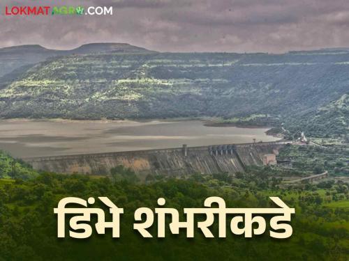 Dimbe Dam Water Storage: All five gates of Dimbe Dam opened releasing 18,000 cusecs water | Dimbe Dam Water Storage: डिंभे धरणाचे पाचही दरवाजे उघडले १८,००० क्युसेक्सने विसर्ग