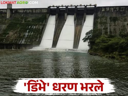 This dam which has the highest water storage capacity in the Kukdi project overflows | कुकडी प्रकल्पातील सर्वाधिक जास्त पाणी साठवण क्षमता असणारे 'हे' धरण ओव्हरफ्लो