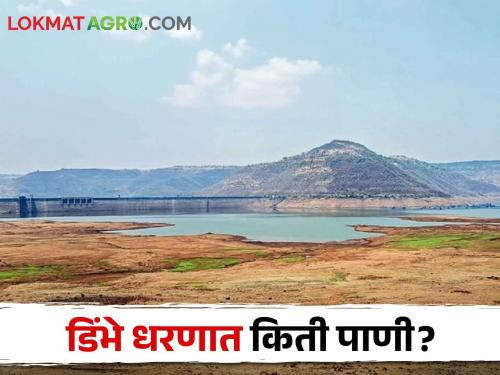 Bottom reached by Dimbhe Dam; Remaining for how much water | Dimbhe Dam डिंभे धरणाने गाठला तळ; किती पाणीसाठी शिल्लक