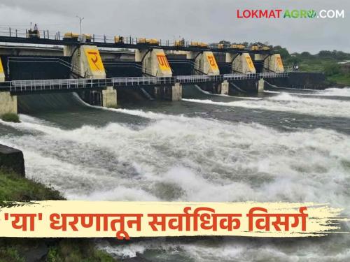 Latest News Maharashtra Dam Discharged How much discharge from Bhandardara, Nilwande, Gangapur Dam Know in detail  | Maharashtra Dam Discharged : भंडारदरा, निळवंडे, गंगापूर धरणातून किती विसर्ग? जाणून घ्या सविस्तर 