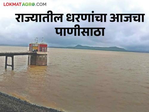 Latest News Maharashtra Dam Storage read how much water is in dams in your district see details | Maharashtra Dam Storage : राज्यात 'या' विभागात सर्वाधिक पाणीसाठा, वाचा तुमच्या जिल्ह्यातील धरणांत किती पाणी? 