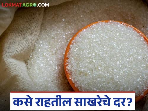 Central government announces sugar quota for October; How will sugar prices be during Diwali? | केंद्र सरकारचा ऑक्टोबर महिन्यासाठी साखर कोटा जाहीर; दिवाळीत कसे राहतील साखरेचे दर?