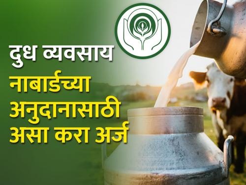 Want to do milk business as a side business to agriculture? Government gives a subsidy of Rs.5 lakhs | शेतीला जोडधंदा म्हणून दूध व्यवसाय करायचाय? सरकार देते ५ लाख रुपये अनुदान