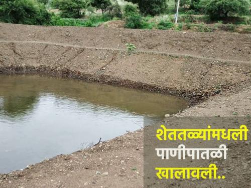 Due to low rainfall, the farms reached the bottom, the horticultural area will decrease | कमी पावसामुळे शेततळ्यांनी गाठला तळ, बागायती क्षेत्र घटणार