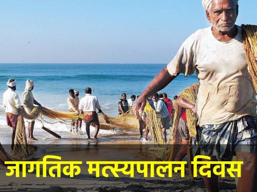 World Fisheries Day: India Big Fish Supplier to Global Demand | जागतिक मत्स्यपालन दिवस: जागतिक मागणीत भारत मोठा मत्स्य पुरवठादार