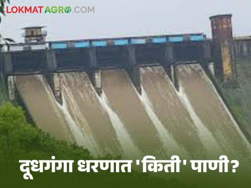 Doodhaganga Dam: 'So much' percent water in Doodhaganga Dam this year; Read in detail | Doodhaganga Dam : यंदा दूधगंगा धरणात 'इतके' टक्के पाणी ; वाचा सविस्तर