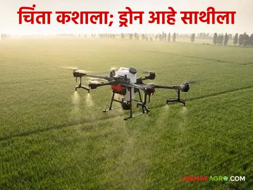 Drone Technology in Agriculture: Time and money saving drone spraying  | Drone Technology in Agriculture : वेळ अन पैशाची बचत करणारी ड्रोन फवारणी 