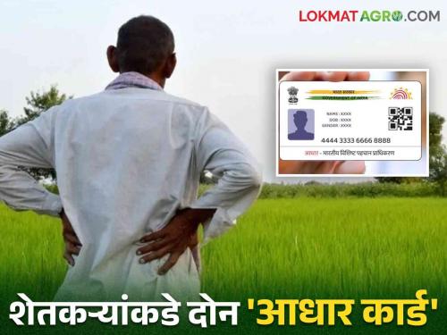 PM Kisan Scheme : The benefits of PM Kisan scheme will be recovered from these farmers in the state read in detail | PM Kisan Scheme : राज्यात या शेतकऱ्यांकडून पीएम किसान योजनेच्या लाभाची होणार वसुली वाचा सविस्तर