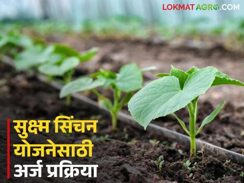 Applications have started being accepted from this portal to benefit from the micro irrigation scheme; How will you apply? | सूक्ष्म सिंचन योजनेचा लाभ घेण्यासाठी 'या' पोर्टलवरून अर्ज घेण्यास सुरवात; कसा कराल अर्ज?