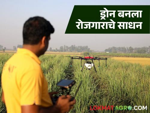 Latest News Agriculture News Youth of Nashik became drone pilot earning five thousand rupees day | Agriculture News : नाशिकच्या युवक बनला ड्रोन पायलट, फवारणीद्वारे दिवसाला पाच हजार रुपयांची कमाई 