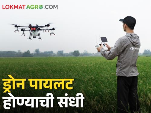 Want to be a drone pilot; Course is starting in Marathwada Agricultural University | ड्रोन पायलट व्हायचय; मराठवाडा कृषी विद्यापीठात सुरु होतोय अभ्यासक्रम