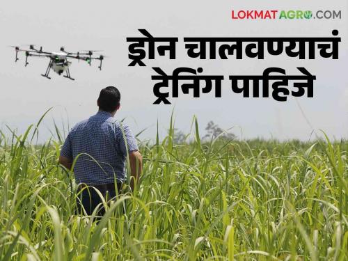 Drone Training for Agriculture : If you want to learn how to fly a drone then this is a golden opportunity for you read in detail | Drone Flying Training : तुम्हाला ड्रोन चालवायला शिकायचय मग ही आहे तुमच्यासाठी सुवर्णसंधी वाचा सविस्तर