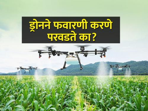 How much does drone spraying cost? | ड्रोनने फवारणी करताय, किती पैसे मोजावे लागतील?