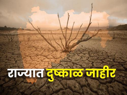 Drought declared in 40 talukas of the state, remaining talukas in second phase | राज्यातील ४० तालुक्यात दुष्काळ जाहीर, उर्वरित तालुके दुसऱ्या टप्यात
