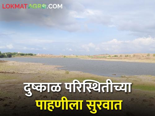 A report on the drought situation will be submitted to the Central government soon | दुष्काळी परिस्थितीचा अहवाल लवकरच केंद्राकडे सादर केला जाणार
