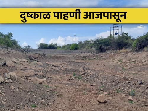 Drought monitoring start from today; Central government team entered the state | दुष्काळाची पाहणी आजपासून; केंद्राचे पथक राज्यात दाखल