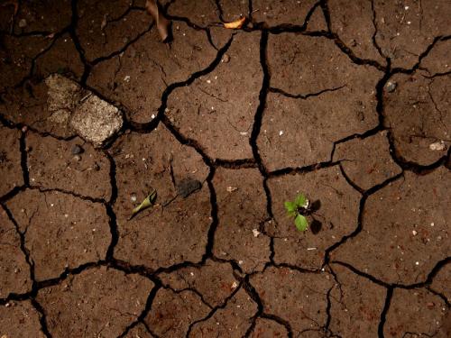 When drought is a declared? | दुष्काळ कधी जाहीर केला जातो?