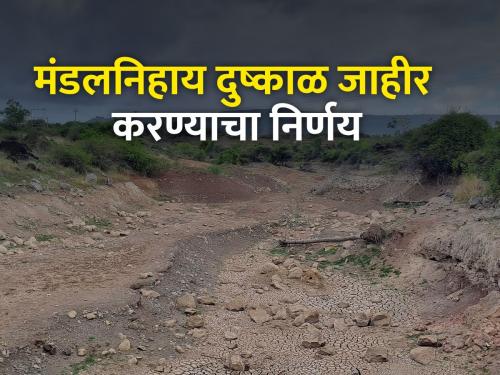 3,000 crore needed for drought relief | दुष्काळ निवारणासाठी हवे ३,००० कोटी