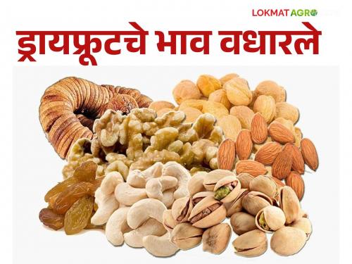 Dry Fruits Market is getting hit by falling rupee against dollar; The prices of cashew nuts, almonds and walnuts increased | Dry Fruits Market डॉलरच्या तुलनेत रुपया घसरल्याचा बसतोय फटका; काजू, बदाम, अक्रोडचे भाव वधारले