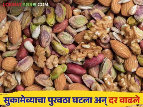 Dry Fruits Market: Due to decrease in imports this year, cashew nuts will be in short supply and almonds will arrive after Diwali | Dry Fruits Market : यंदा आयात घटल्याने काजू तुटवडा तर दिवाळीनंतर पोहोचणार बदाम